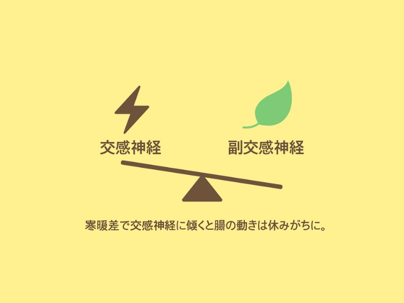 交感神経と副交感神経のシーソー図