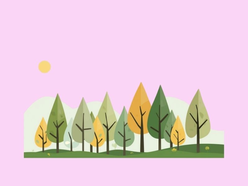 自然と共にある静かな暮らし