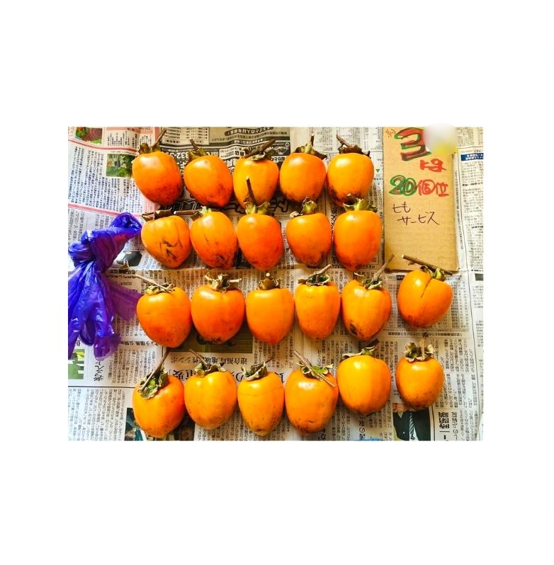 干し柿用に購入した渋柿を新聞紙に並べて状態を確認している写真
