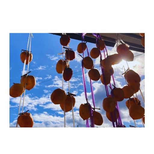 青空の下、軒先に吊るされた干し柿の写真