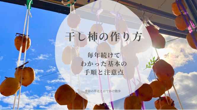 青空を背景に軒下に吊るされた手作りの干し柿。毎年続けてわかった基本の作り方と注意点を紹介する記事のアイキャッチ画像。