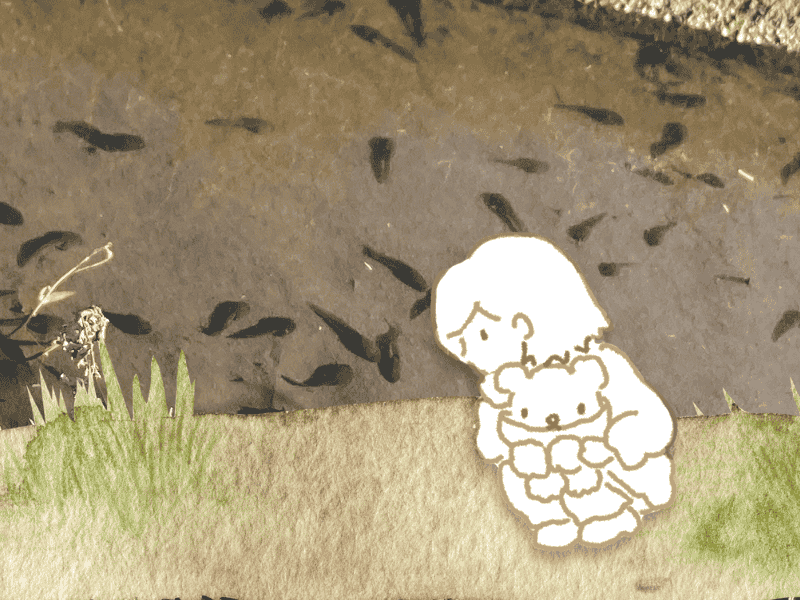 用水路でおたまじゃくしが動き出した写真とそれをのぞいている画像