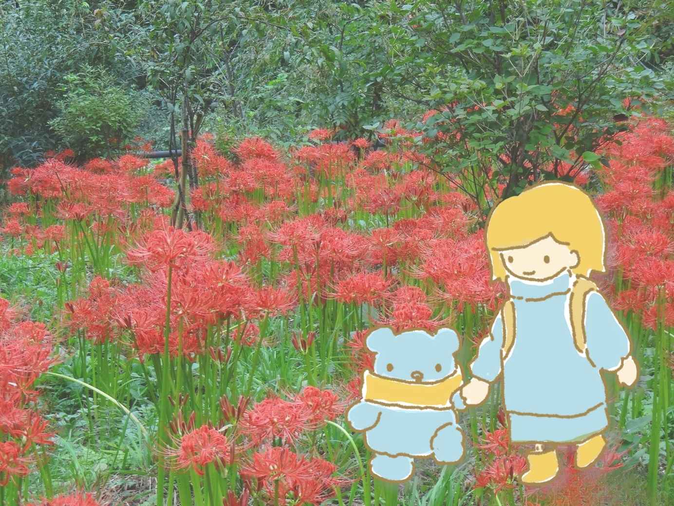 宮城県柴田町の彼岸花が咲いている写真にネリネとソラベアのイラストを重ねた画像