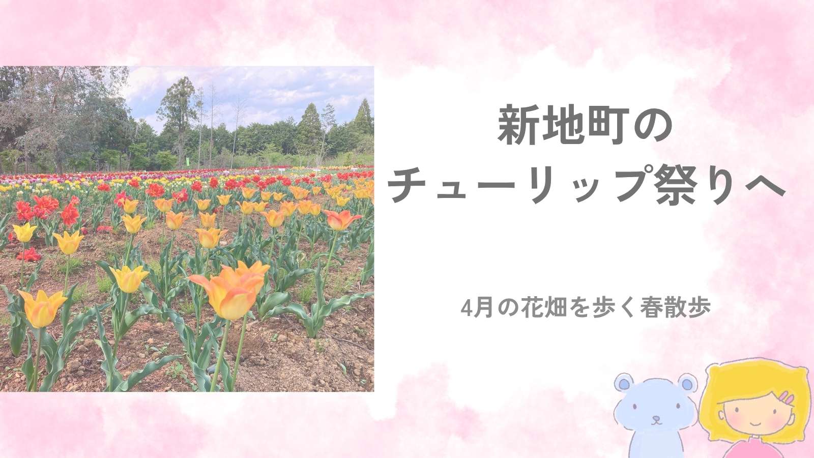 新地町のチューリップ祭りで見た色とりどりのチューリップ畑