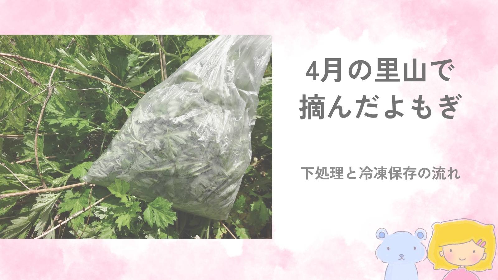 4月15日、里山で摘んだよもぎ