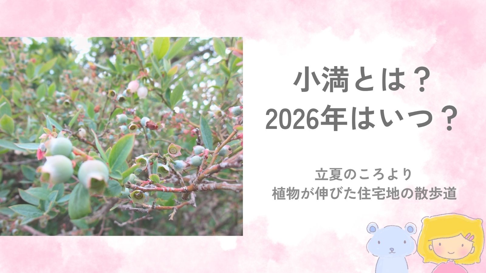 小満のころ、庭先でまだ青い実をつけているブルーベリーのアイキャッチ