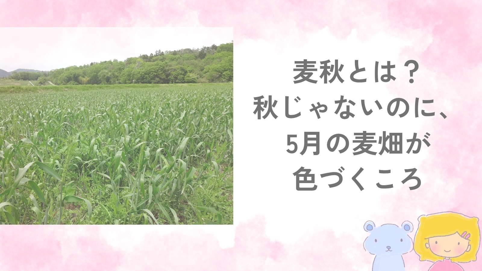 5月の青い麦畑と麦秋の意味を紹介するアイキャッチ画像