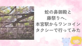 蛇の鼻御殿と藤祭りへ本宮駅からワンコインタクシーで行った記事のアイキャッチ画像