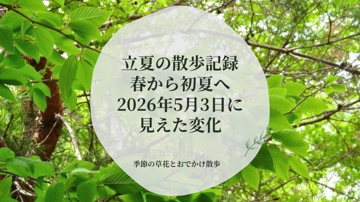 新緑の葉を背景に、立夏の散歩記録と春から初夏への変化を紹介するアイキャッチ画像