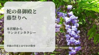 紫色の藤の花を背景に、蛇の鼻御殿と藤祭りの記事タイトルを重ねたアイキャッチ画像