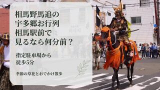 相馬野馬追の宇多郷お行列で撮影した騎馬武者の写真のアイキャッチ