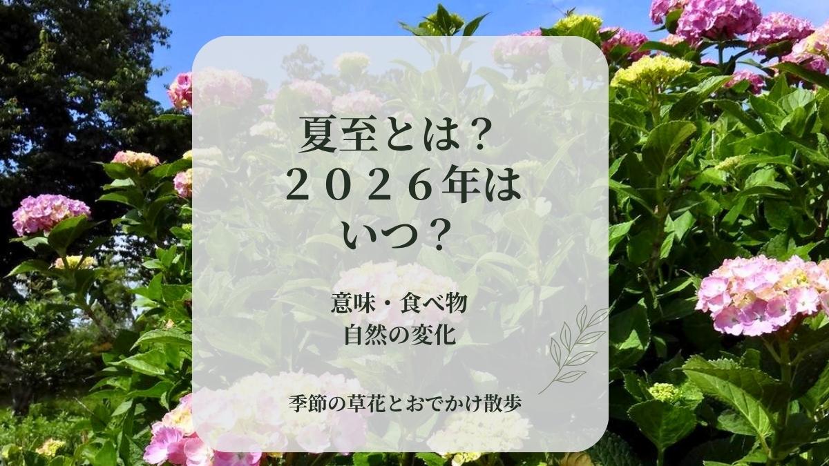 青空の下で咲くアジサイの写真に「夏至とは？2026年はいつ？」と書かれたアイキャッチ画像