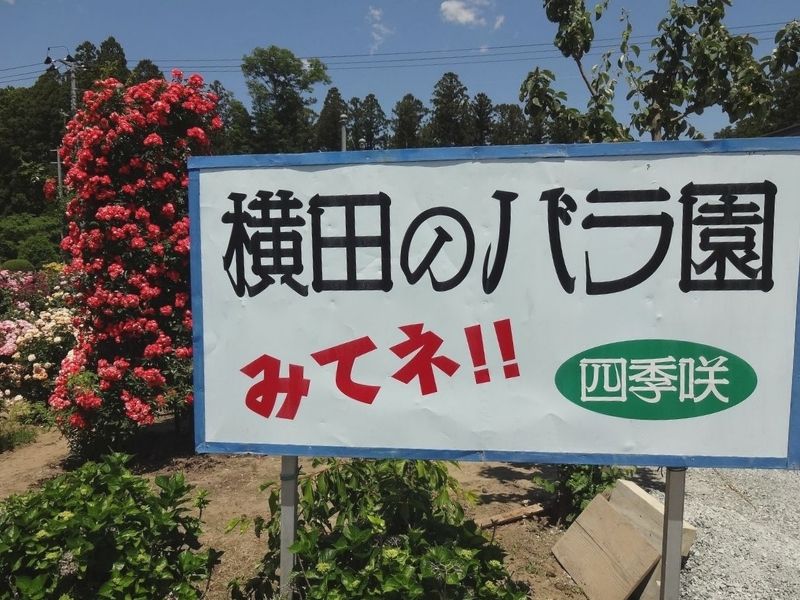 横田バラ園の看板が青空の下に立っている写真