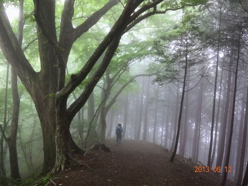 2013年山奥の霧の中を歩くブログ管理人の後ろ姿