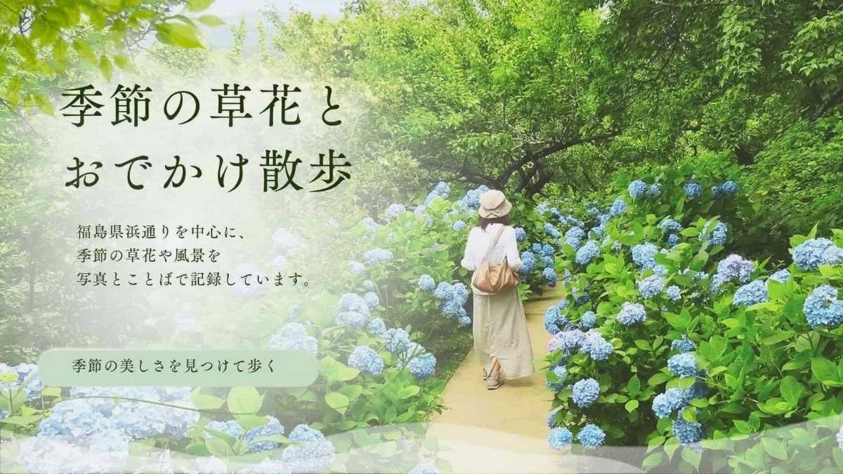 季節の草花とおでかけ散歩