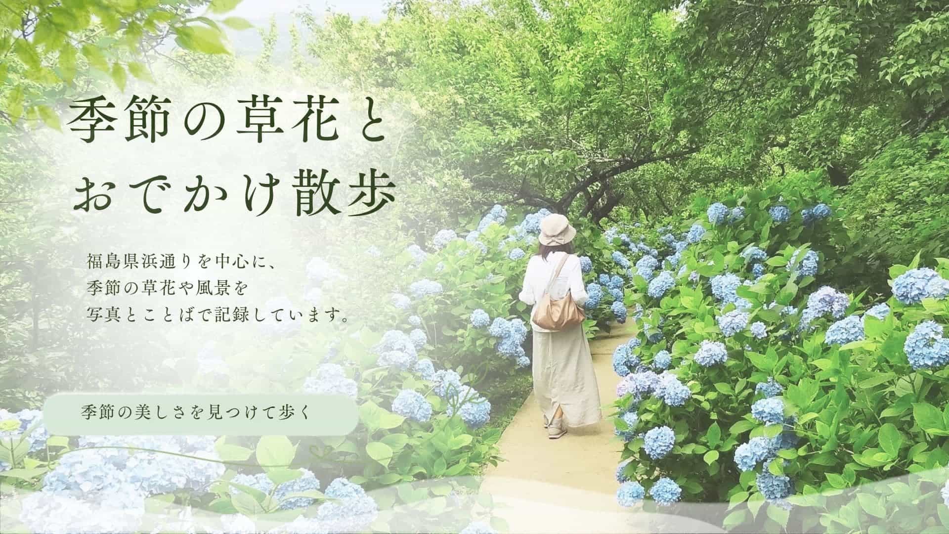 季節の草花とおでかけ散歩