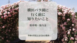 淡いピンクのバラのアーチ写真の横田バラ園の記事アイキャッチ