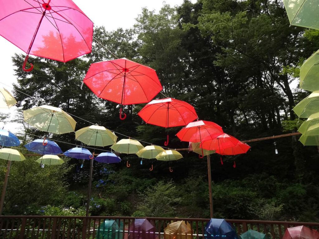 あじさい祭りのアンブレラスカイ、頭上に広がる色とりどりの傘