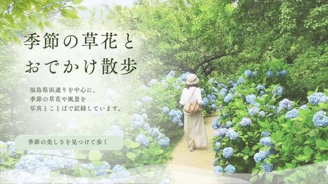 季節の草花とおでかけ散歩