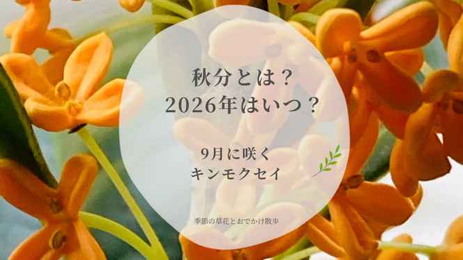 オレンジ色のキンモクセイを背景に「秋分とは？2026年はいつ？」と書かれたアイキャッチ画像
