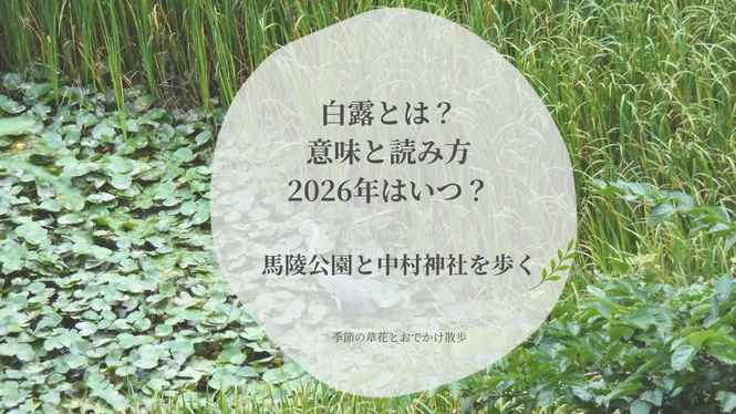 白露の意味・読み方と2026年の日付、馬陵公園と中村神社の散歩を紹介するアイキャッチ