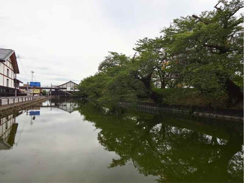 福島県相馬市の馬陵公園にあるお濠と9月の濃い緑