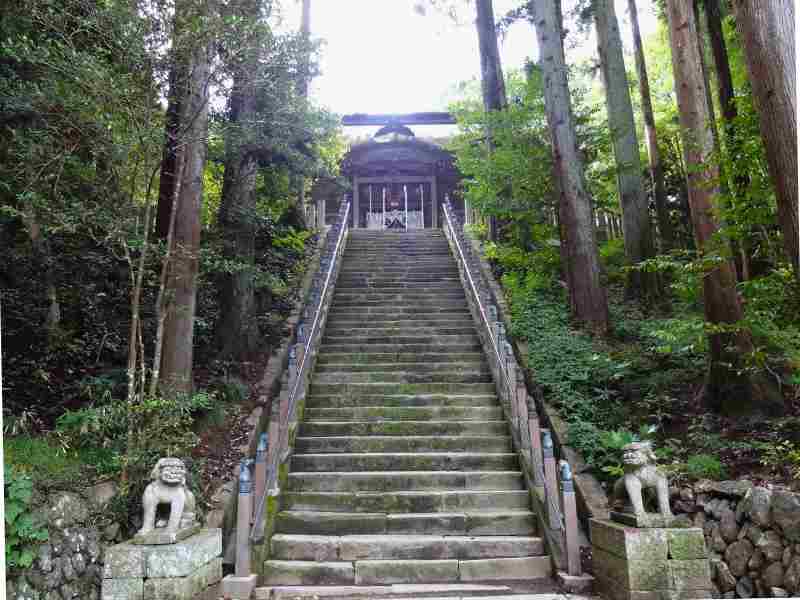 福島県相馬市の中村神社、木々に囲まれた石段を下から見上げた景色