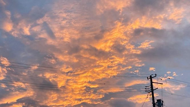 オレンジ色に染まる雲と電線の夕焼け空