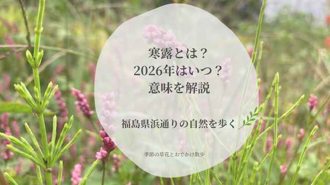 イヌタデの写真を背景に「寒露とは？2026年はいつ？意味を解説」と書かれた、二十四節気・寒露の記事のアイキャッチ画像